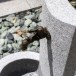 Leopard White Granite - Freistehender Wasserbrunnen (47 x 40 x 70 cm)