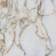 Arabescato Oro Polierter Marmor, 61 x 30.5 x 1 cm (durchscheinend)