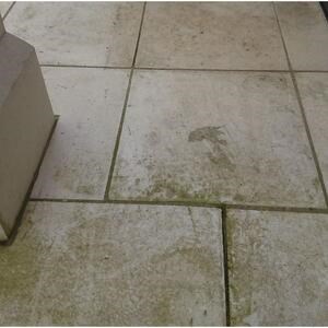 LTP Profesional Schwarzer Fleck & Algenentferner, 5 L