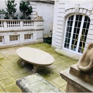 LTP Profesional Schwarzer Fleck & Algenentferner, 5 L