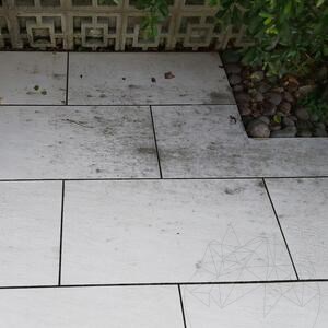 LTP Profesional Schwarzer Fleck & Algenentferner, 5 L