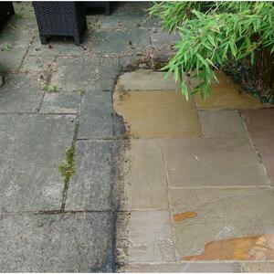 LTP Profesional Schwarzer Fleck & Algenentferner, 5 L