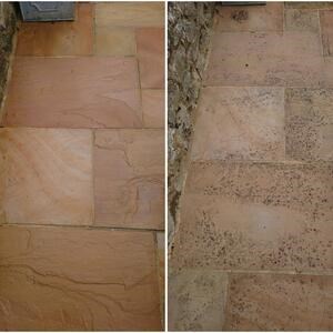 LTP Profesional Schwarzer Fleck & Algenentferner, 5 L