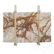 Calacatta Gold Polierte Marmorplatte 2 cm