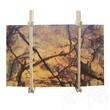 Calacatta Gold Polierte Marmorplatte 2 cm