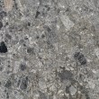 Ceppo Grau Polierter Marmor 61 x 61 x 1,2 cm