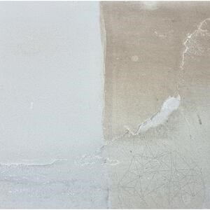 LTP Profesional Ferrex Rostentferner für Granit, Schiefer, Sandstein, 1 L