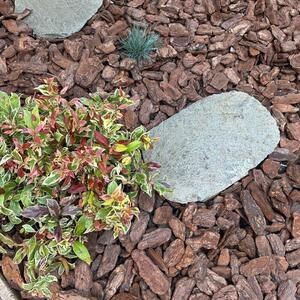 Kavala Schiefer gemeißelt Rand japanischen Garten Schritt