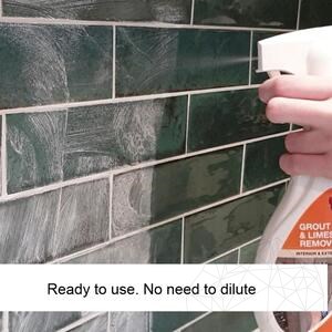 LTP Profesional Fugenschleier- und Kalkentferner, 500 ml