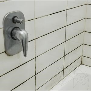 LTP Profesional Mouldex, Reinigungsmittel für Schimmelsporen (reinigt & pflegt), 500 ml