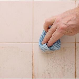 LTP Profesional Mouldex, Reinigungsmittel für Schimmelsporen (reinigt & pflegt), 500 ml