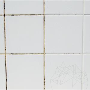 LTP Profesional Mouldex, Reinigungsmittel für Schimmelsporen (reinigt & pflegt), 500 ml