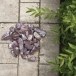 Rote Atlas Marmorkiesel 2-4 cm Beutel 20 Kg