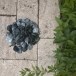 Grüner Marmor Kiesel 1-2 cm Sack 20 Kg