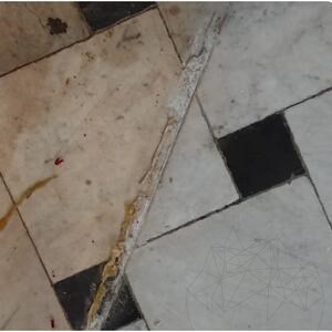 LTP Profesional Power Stripper, Allzweck-Abbeizmittel für Stein, Keramik, Beton, Ziegel, Verbundwerkstoffe, 5 L