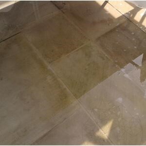 LTP Profesional Power Stripper, Allzweck-Abbeizmittel für Stein, Keramik, Beton, Ziegel, Verbundwerkstoffe, 5 L