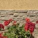 Lemone Quarzit-Wandverkleidungsplatte 15 x 60 x 1-2 cm