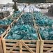 Glas Deko Blau KG