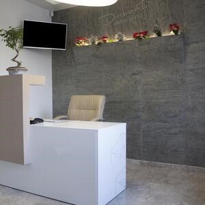 Flexibler Schiefer SKIN Ultra-Flex 2mm - Jeera Grün, 280 x 125 cm | Stein für Wände, Möbel, Fassaden und Nassbereiche