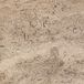Latte Honed PREMIUM Travertin 30,5 x 30,5 x 1,2 cm