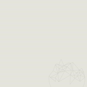 Fugenmörtel - Multifill-Diamond, Fugenbreite rosy 1-12 mm, 01 White, 4 kg