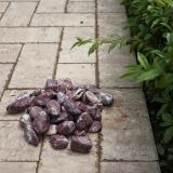 Rote Atlas Marmorkiesel 2-4 cm Beutel 20 Kg