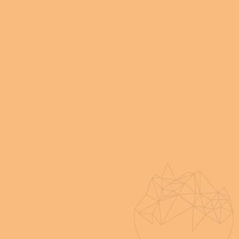 Weber G700 Wandgrundierung HN1 (braun) - 20 kg