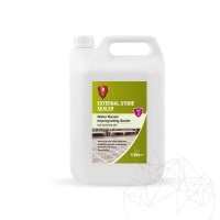 LTP Profesional Außenversiegelung, für Naturstein, 5 L