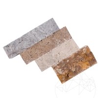 MUSTER - Olympus Beige Splitface Travertin 8 x 22 x 1,3 cm