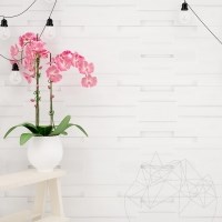 Polierter Marmor Arctic White Wandverkleidungsplatte 15 x 60 cm