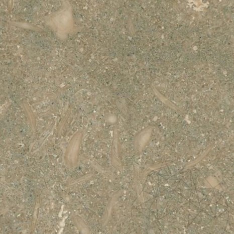 Kalksteinfliesen Oliva Matt 61 x 30.5 x 1.2 cm