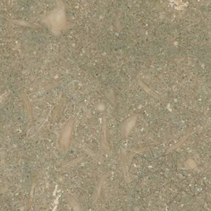 Kalkstein Oliva Gebürstet 60 x 60 x 1.2 cm