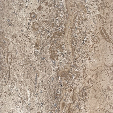 Latte Gebürstet PREMIUM Travertin 30.5 x 15.2 x 3 cm