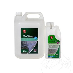 CLEANPAV Kit LTP - entfernt Moos und Schimmel von Außenpflastern