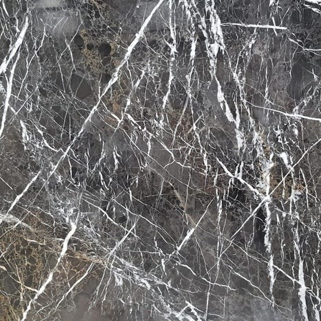 Spinne Schwarz Polierte Marmorplatte 2 cm