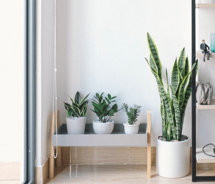 Designtrends 2022: Ideen für Ihr Dekorationsprojekt