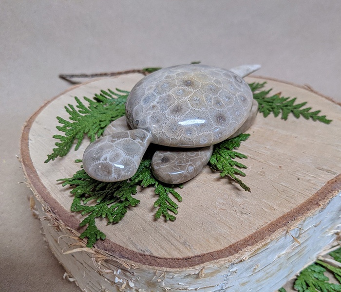 Petoskey Stone and a blasphemy against the past