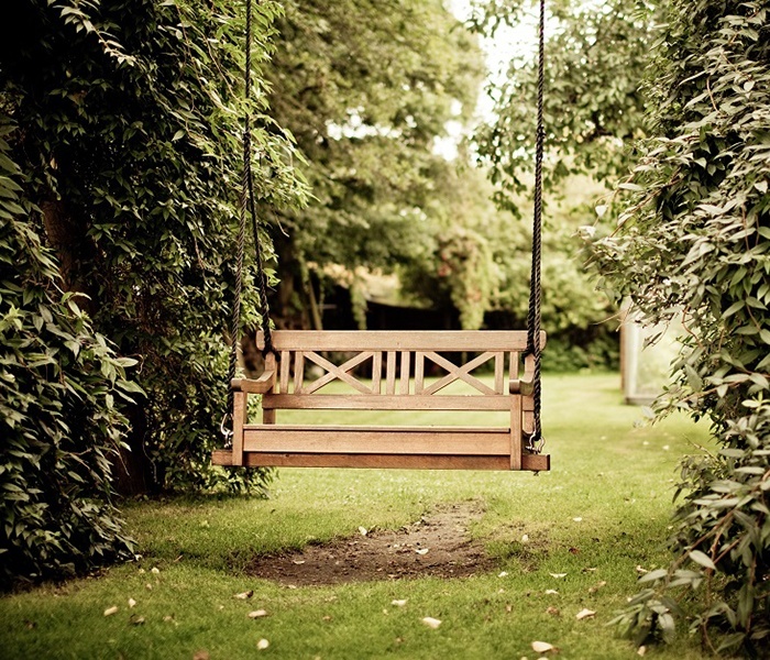 Einfache Tipps zur Pflanzenpflege | Gartenrestaurierung | Interview mit Diana Gadea