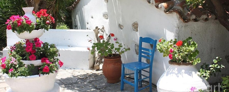 Die besten Tipps zum Erstellen eines traditionellen griechischen Gartens