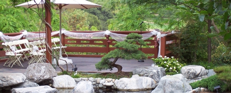 Die 7 Prinzipien des Zen, angewandt auf den Japanischen Garten