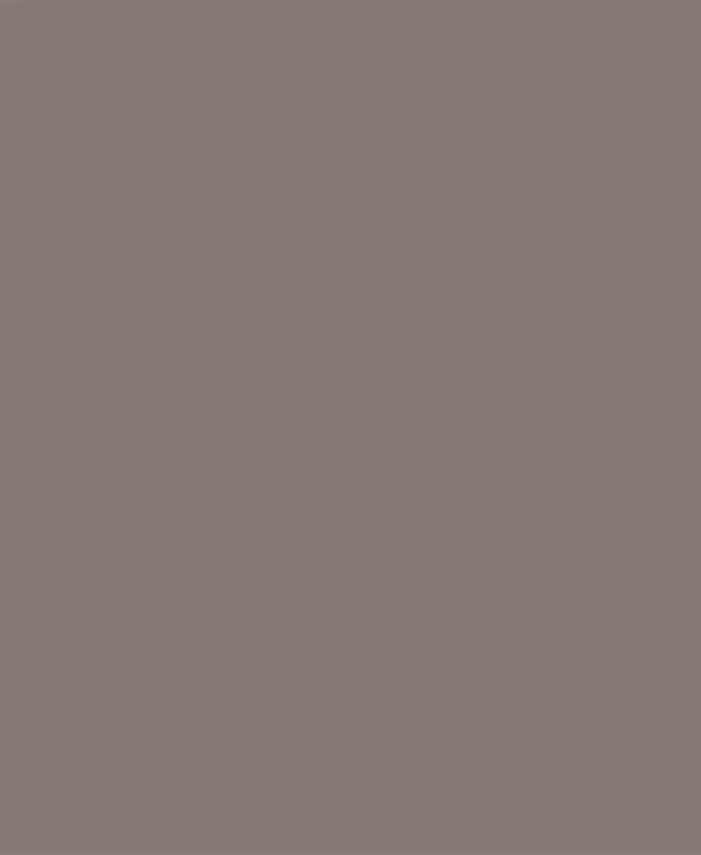Weber Color Perfect Dark Chocolate 2 Kg - Flexibler Fugenmörtel für Wand und Boden