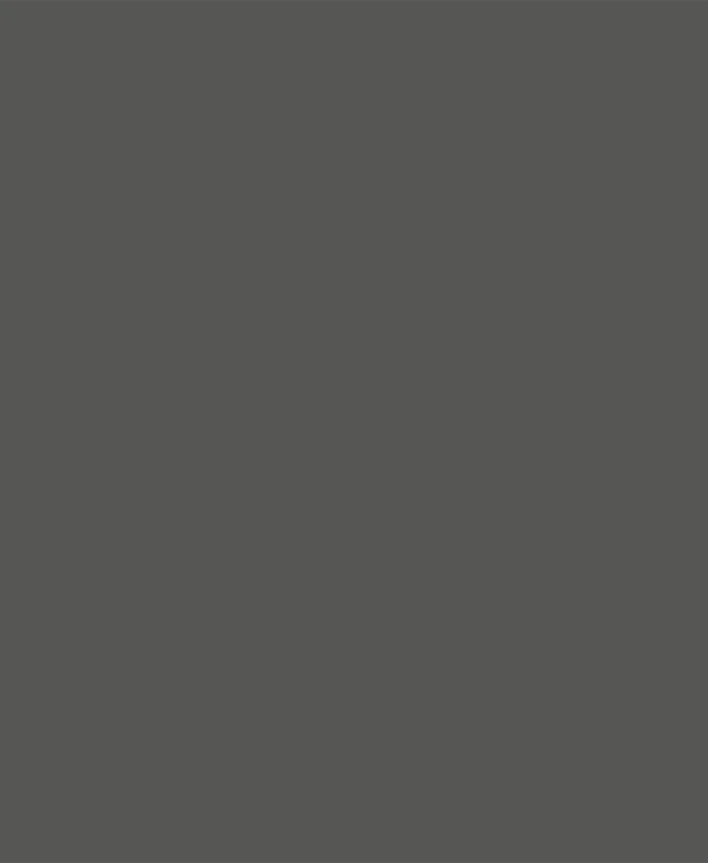 Weber Color Perfect Anthracite 2 Kg - Flexibler Fugenmörtel für Wand und Boden