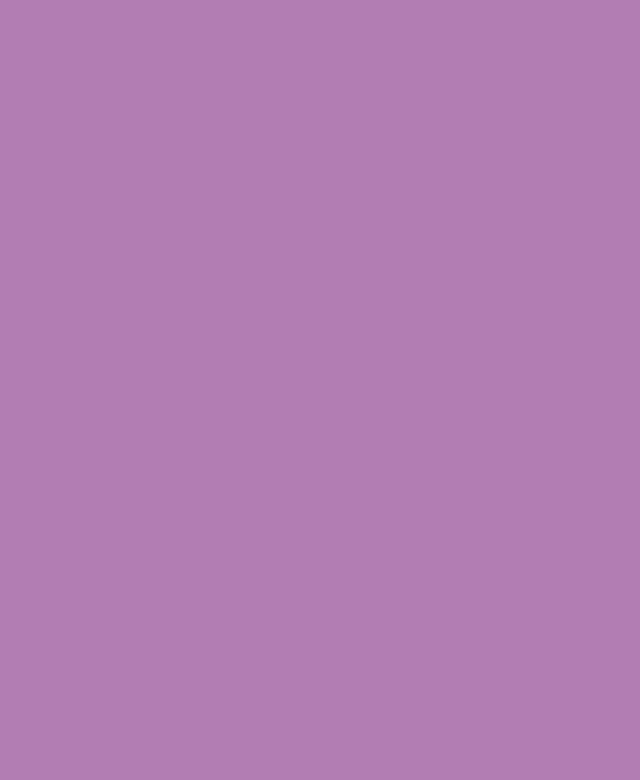 Weber Color Perfect Lilac 2 Kg - Flexibler Fugenmörtel für Wand und Boden