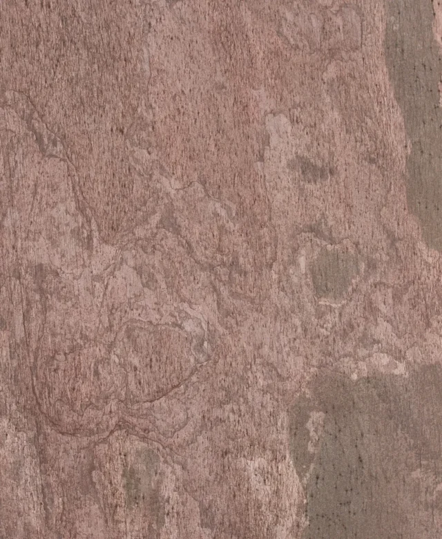 ARDF-5229