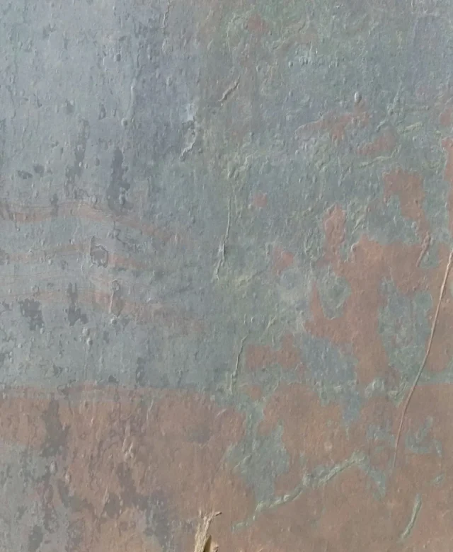 ARDF-5244