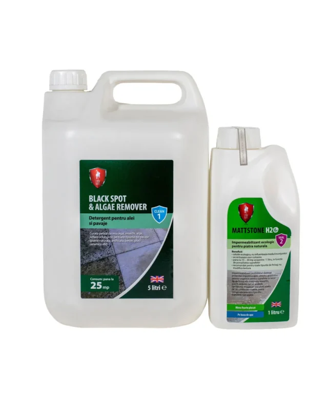 CLEANPAV Kit LTP - entfernt Moos und Schimmel von Außenpflastern