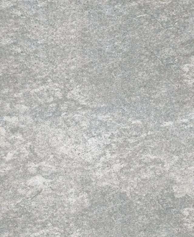 LAP-0008