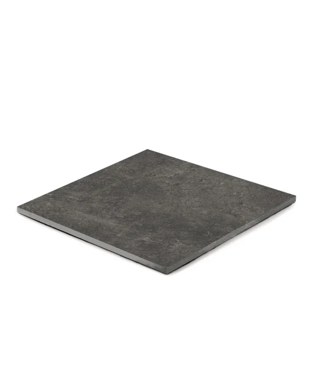 LAP-0081