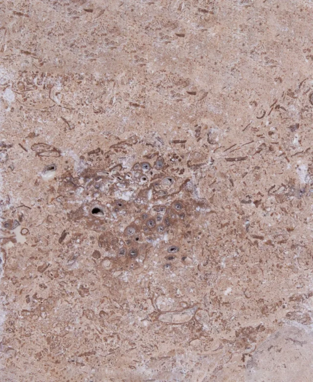 Latte Tumbled PREMIUM Travertin 10 x 10 x 1,2 cm