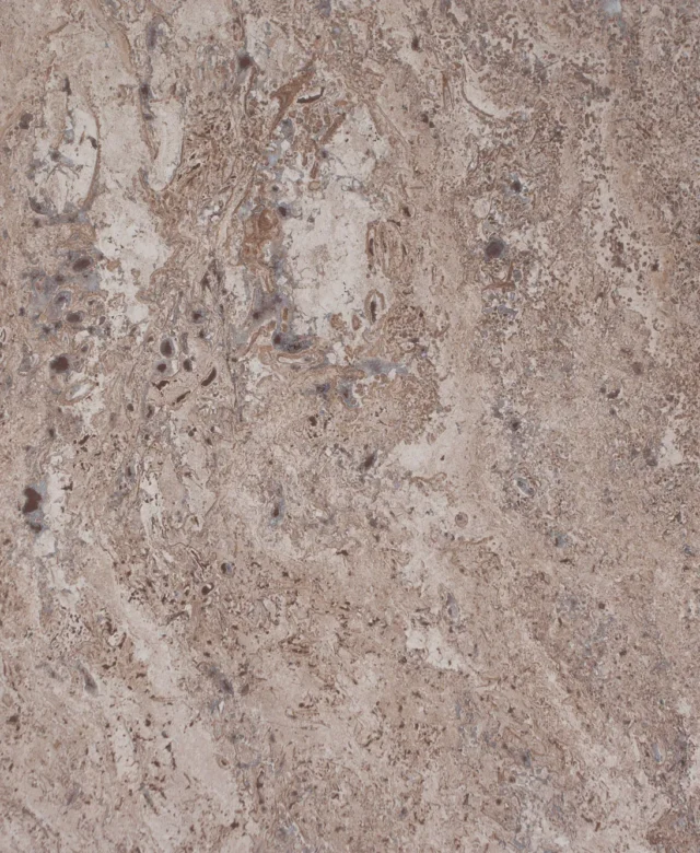 Latte Honed PREMIUM Travertin 30,5 x 30,5 x 1,2 cm